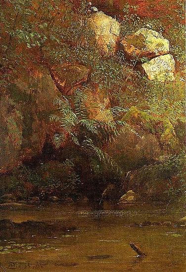 Albert Bierstadt Ferns_and_Rocks_on_an_Embankment Germany oil painting art